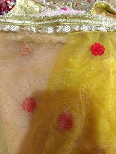 Beautiful Embroidered Lehenga Choli