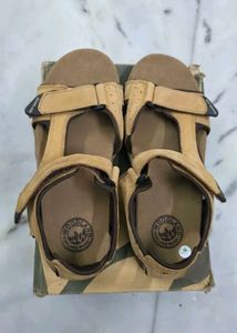 Woodland Men's Tan Sandal