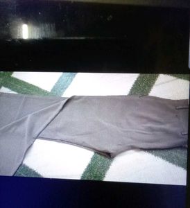 Gray Casual Pants