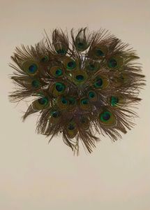 Wall Decorating Peace With Peacock Feather