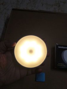 Intelligent Induction Lamp