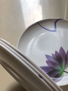 Floral Design Dinner Plates Set