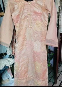 Beautiful Peach Embroidered suit