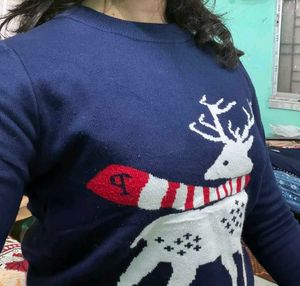 GAP Reindeer Holiday Sweater
