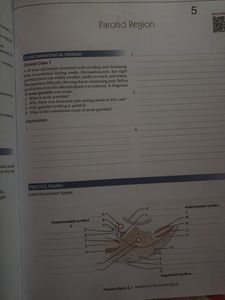 Human Anatomy Books - BD Chaurasia