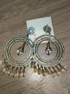 Sparkling Hoop Dangle Earrings