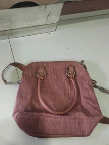 Baggit Handbag