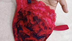 Red Floral Lace Bra
