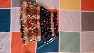 Embroidered Choli and Skirt Set