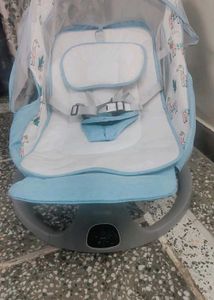Baby Swing with Canopy