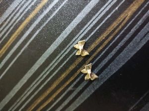 Earings