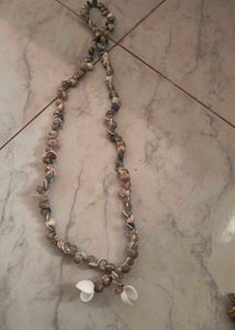 Seashell Necklace
