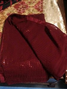 Sequin Fabric Piece