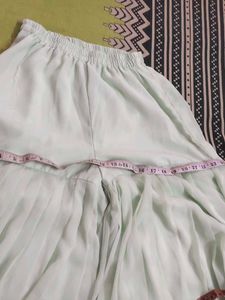 Beautiful Light Green Palazzo Pants
