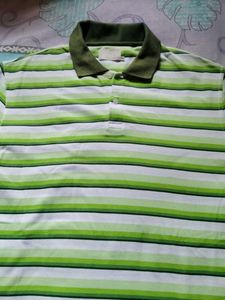 Striped Polo Shirt