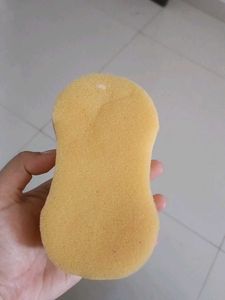 Car Wash Sponge