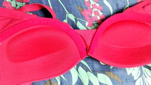 Zivame Red Push Up Padded Bra