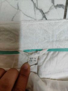 Embroided Skirt