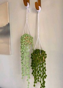 𓍊𓋼𓍊𓋼𓍊Crocheted Plant Hanger𓍊𓋼𓍊𓋼𓍊