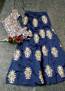 Embroidered Navy Blue Blouse and skirt