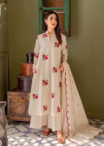 Super Chic Designer Suit Set