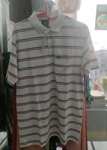 Striped Polo T-Shirt
