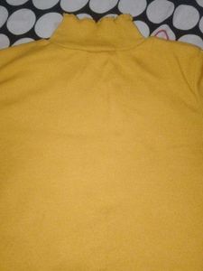 Mustard Yellow Ribbed Turtleneck top