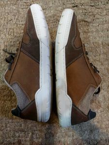 MORPHIS ONE Men's Brown Leather Sneakers