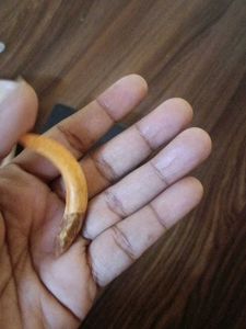 Unique Tusk boar teeth