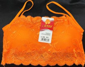 032 - Lace Net Bra Party Wear