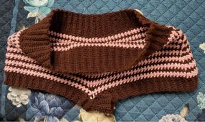 Handmade Crocheted Striped Shorts