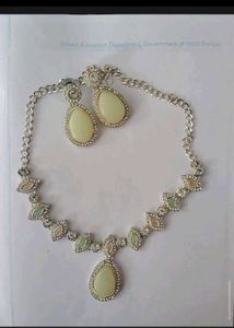 12.Elegant Necklace and Earring Set