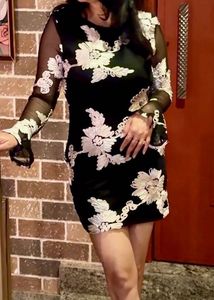 Sheer bodycon dress