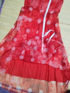 Ethnic Organza gown