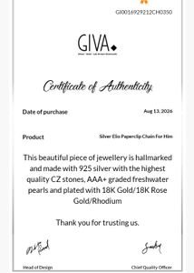 silver elio paperclip chain for men