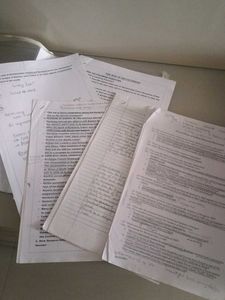 Notes included- Full prep Collection of ICSE