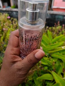 Bath &amp; Body Works A Thousand Wishes Fine Fragrance