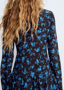 Brown And Blue Zara Dress