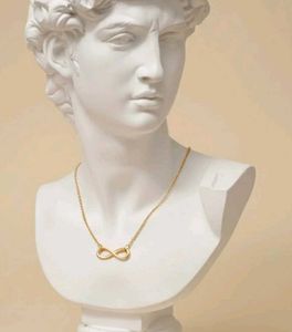 Elegant Infinity Necklace