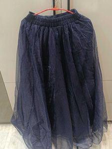 Navy Blue Skirt