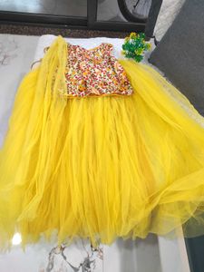 Elegant Lehenga Choli .