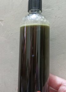 Herbal Oil in Bottle [ HOMEMADE ]