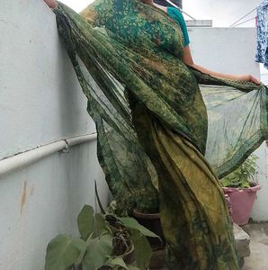 Elegant Green Saree