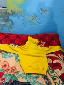 Hoodie And Sweatshirt