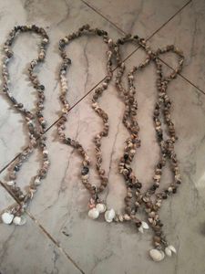 Seashell Necklace
