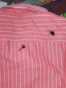 Men's Blue &amp; White Polo Shirt
