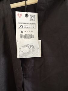 ZW Collection Poplin Shirt Dress
