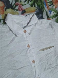 White Button-Up Shirt