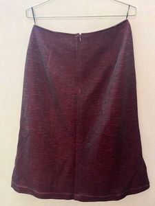 Shimmery Skirt