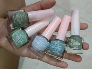 combo of 10 nail paints